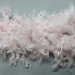MPOA feather_2m
